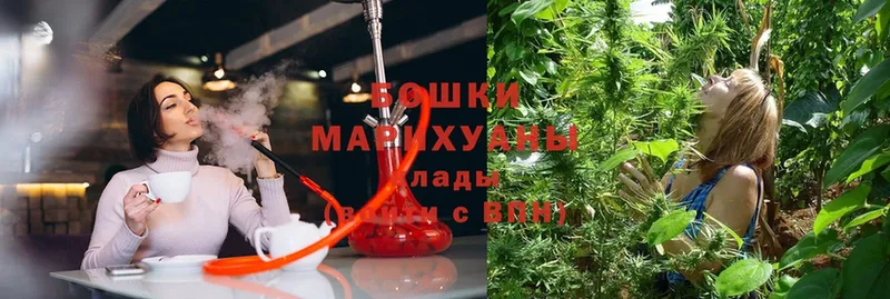 Бошки марихуана индика  где купить   Хабаровск 